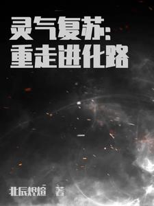 终级进化