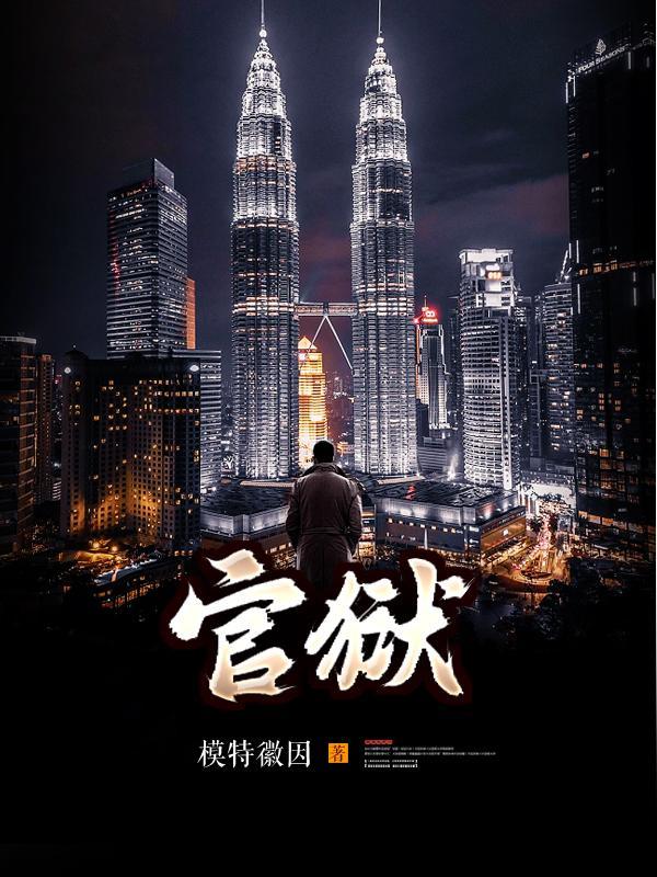 官场孽缘派出所所长秦