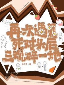 再次遇见 免费观看全文阅读